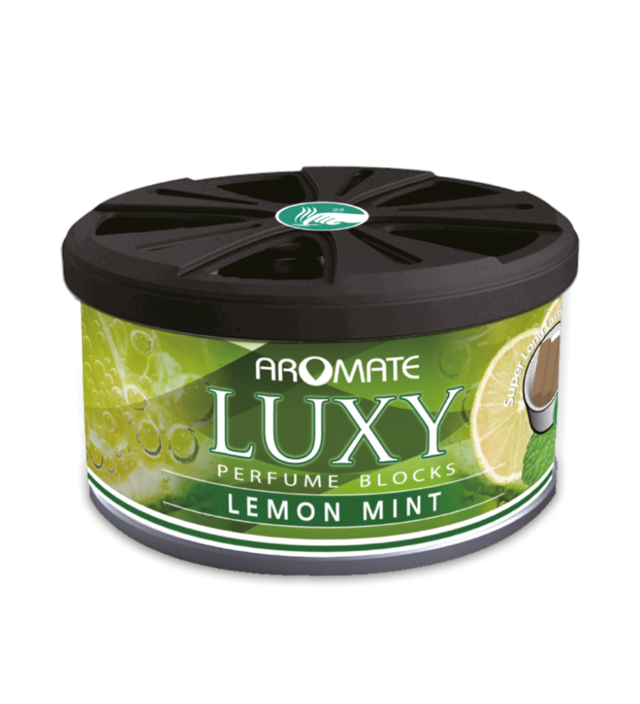 Perfume Blocks-Lemon Mint